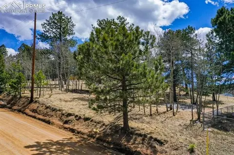 870 Will Scarlet Dr, Divide, CO 80814 photo 16