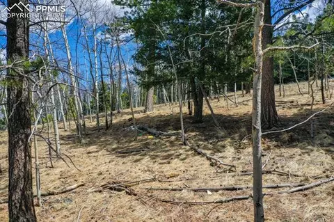 870 Will Scarlet Dr, Divide, CO 80814 photo 9