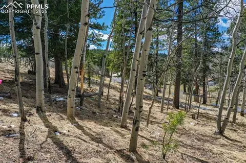 870 Will Scarlet Dr, Divide, CO 80814 photo 8