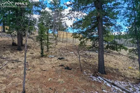 870 Will Scarlet Dr, Divide, CO 80814 photo 3
