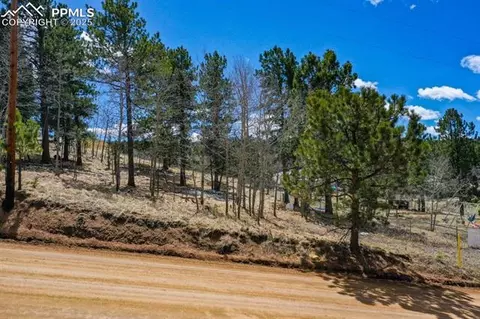 870 Will Scarlet Dr, Divide, CO 80814 photo 15