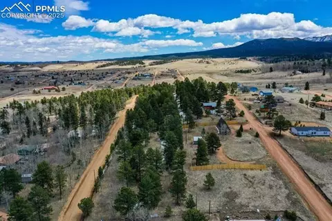 870 Will Scarlet Dr, Divide, CO 80814 photo 21