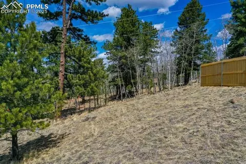 870 Will Scarlet Dr, Divide, CO 80814 photo 4