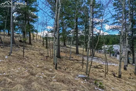 870 Will Scarlet Dr, Divide, CO 80814 photo 7