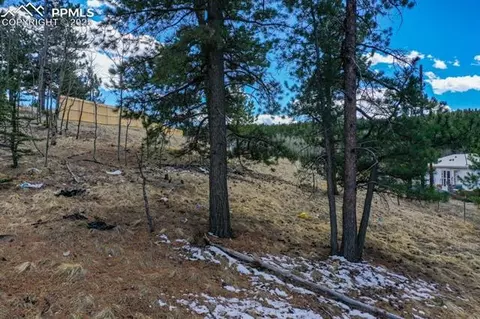 870 Will Scarlet Dr, Divide, CO 80814 photo 2