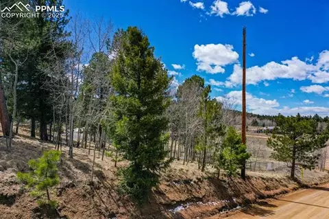 870 Will Scarlet Dr, Divide, CO 80814 photo 13