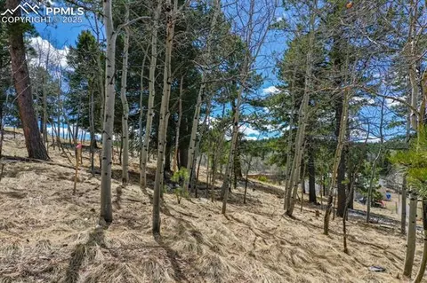 870 Will Scarlet Dr, Divide, CO 80814 photo 14