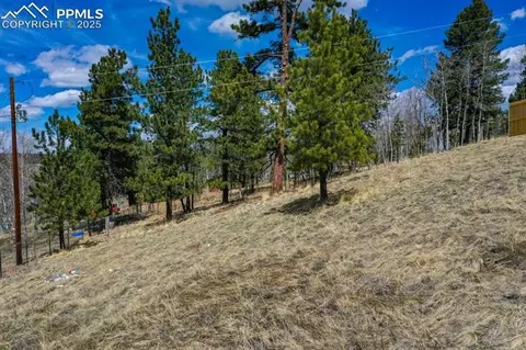 870 Will Scarlet Dr, Divide, CO 80814 photo 5