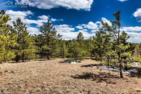 1107 E Bison Creek Trl, Divide, CO 80814 photo 16