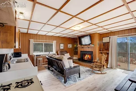 1107 E Bison Creek Trl, Divide, CO 80814 photo 9