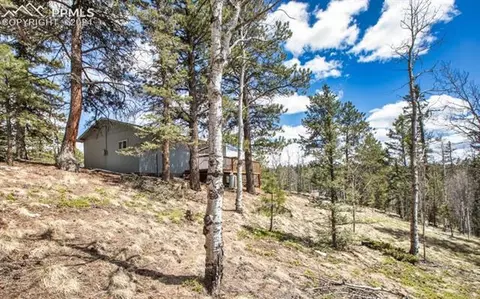 1107 E Bison Creek Trl, Divide, CO 80814 photo 3