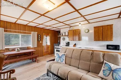 1107 E Bison Creek Trl, Divide, CO 80814 photo 10