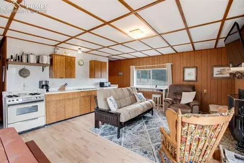1107 E Bison Creek Trl, Divide, CO 80814 photo 13
