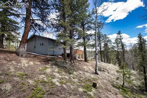 1107 E Bison Creek Trl, Divide, CO 80814 photo 1