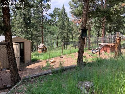 219 Alpine View Rd, Divide, CO 80814 photo 13
