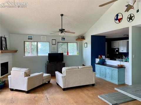 219 Alpine View Rd, Divide, CO 80814 photo 15