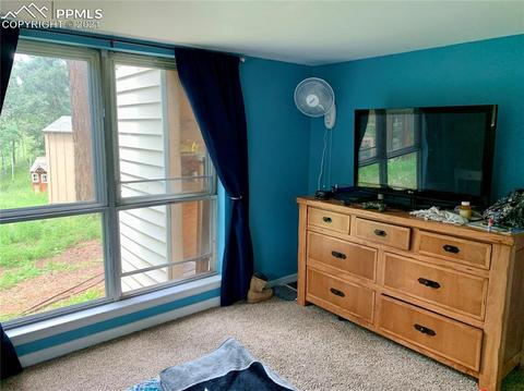 219 Alpine View Rd, Divide, CO 80814 photo 36