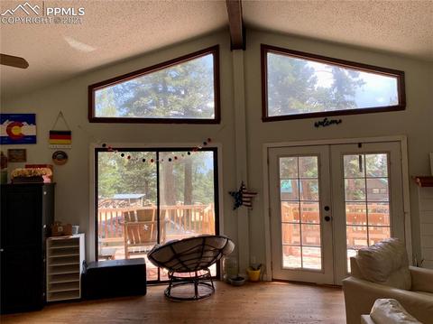 219 Alpine View Rd, Divide, CO 80814 photo 22