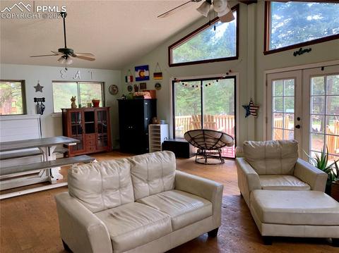 219 Alpine View Rd, Divide, CO 80814 photo 20