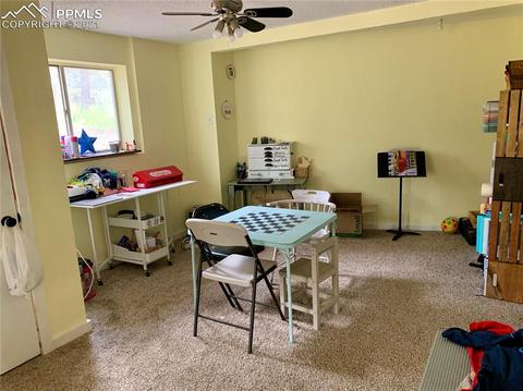 219 Alpine View Rd, Divide, CO 80814 photo 37
