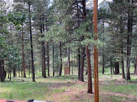 219 Alpine View Rd, Divide, CO 80814 photo 8