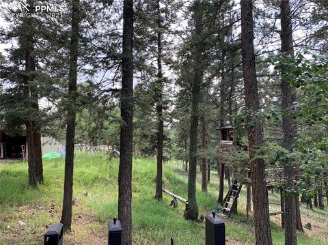 219 Alpine View Rd, Divide, CO 80814 photo 9