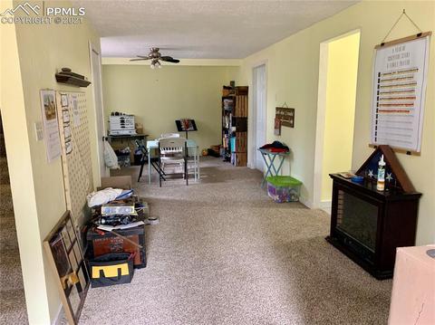 219 Alpine View Rd, Divide, CO 80814 photo 34
