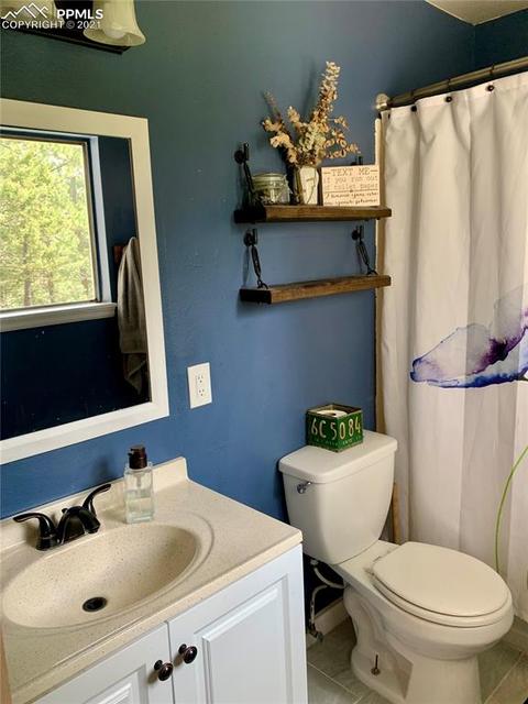 219 Alpine View Rd, Divide, CO 80814 photo 32