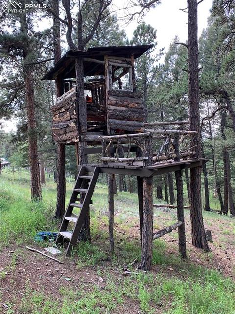 219 Alpine View Rd, Divide, CO 80814 photo 11