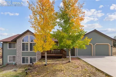 811 Red Eagle Ct, Woodland Park, CO 80863