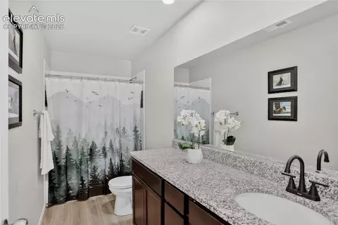 Bath - 9734 Hidden Ranch Ct, Peyton, CO 80831 photo 3 of 4