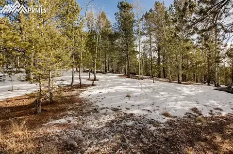 774 Calcite Dr, Divide, CO 80814 photo 22