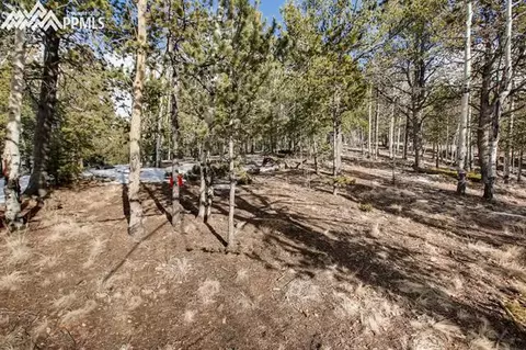 774 Calcite Dr, Divide, CO 80814 photo 21