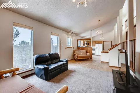 774 Calcite Dr, Divide, CO 80814 photo 7