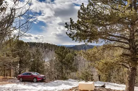 774 Calcite Dr, Divide, CO 80814 photo 28