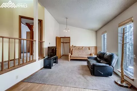 774 Calcite Dr, Divide, CO 80814 photo 9