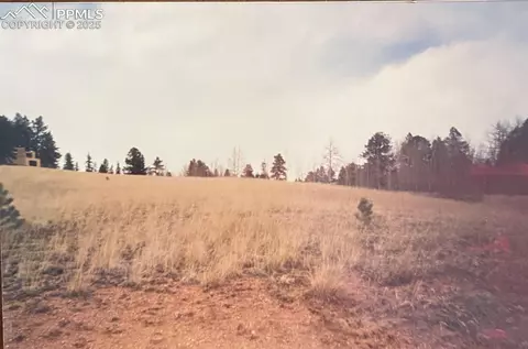 785 Obsidian Dr, Florissant, CO 80816