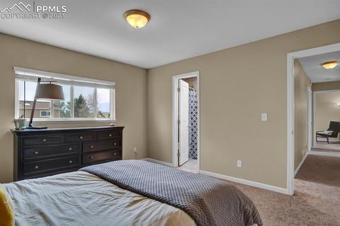 654 Mitchell Ave, Monument, CO 80132 photo 15