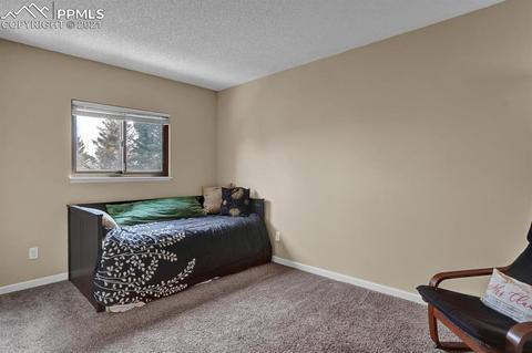 654 Mitchell Ave, Monument, CO 80132 photo 19