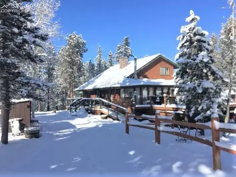 3106 Cedar Mountain Rd, Divide, CO 80814 photo 4