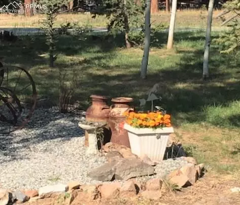 3106 Cedar Mountain Rd, Divide, CO 80814 photo 3