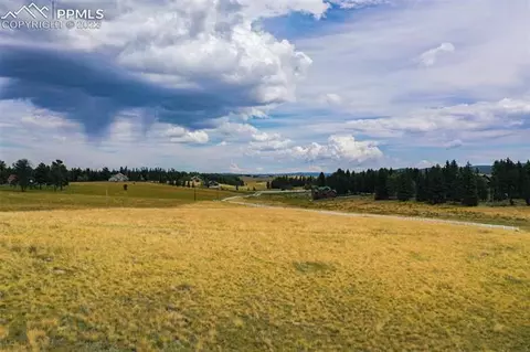 195 Joshua Rd, Divide, CO 80814 photo 8