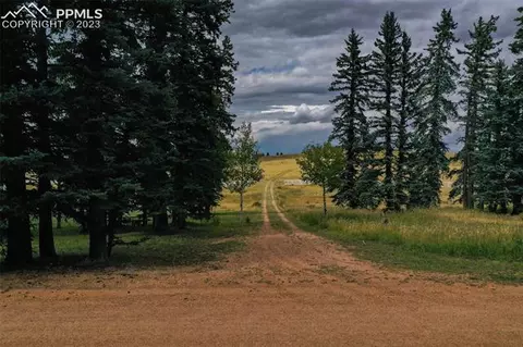 195 Joshua Rd, Divide, CO 80814 photo 14