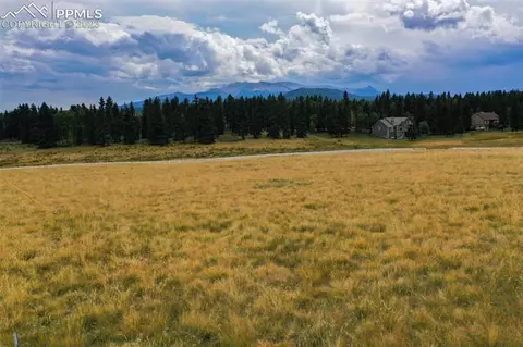 195 Joshua Rd, Divide, CO 80814 photo 7