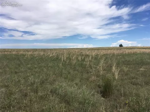 7425 Whittemore Rd, Rush, CO 80833 photo 6