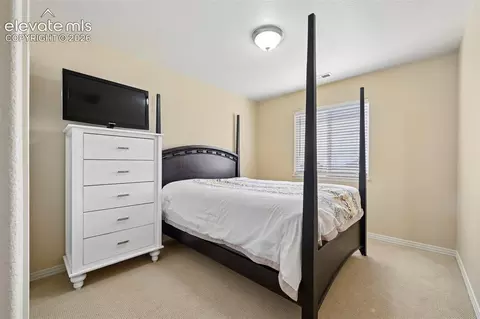 Bedroom - 7334 Talimena Ter, Peyton, CO 80831 photo 2 of 2