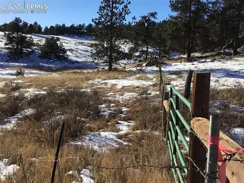 1709 County Road 12, Florissant, CO 80816