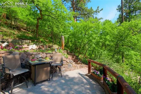 9615 Mountain Rd, Cascade, CO 80809 photo 26