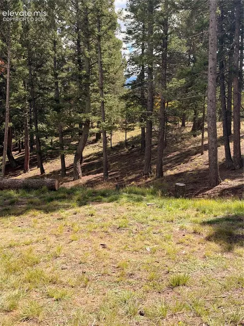 Other - 36 Summit Lake Dr, Divide, CO 80814 photo 4 of 10