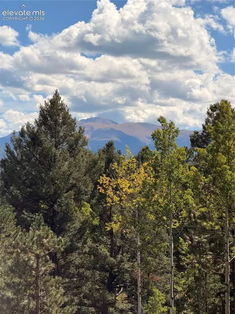Other - 36 Summit Lake Dr, Divide, CO 80814 photo 6 of 10